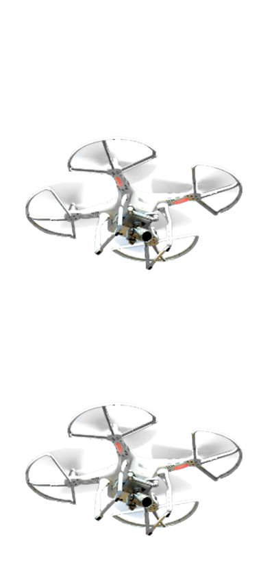 Domain search and transfer service